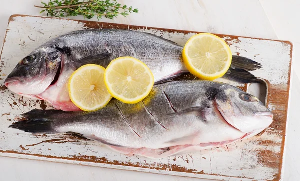 Färsk rå dorado fisk — Stockfoto