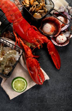 Çeşitli taze deniz ürünleri ve otlar. Taze balık ve deniz ürünleri düzenlemesi. Üst görünüm.