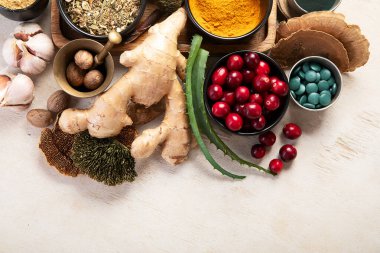 Sağlıklı doğal adaptojen. Bitkiler, baharatlar, hafif arka planda mantarlar. Sinir gıdası koleksiyonu. Üst görünüm