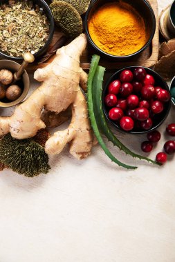 Sağlıklı doğal adaptojen. Bitkiler, baharatlar, hafif arka planda mantarlar. Sinir gıdası koleksiyonu. Üst görünüm