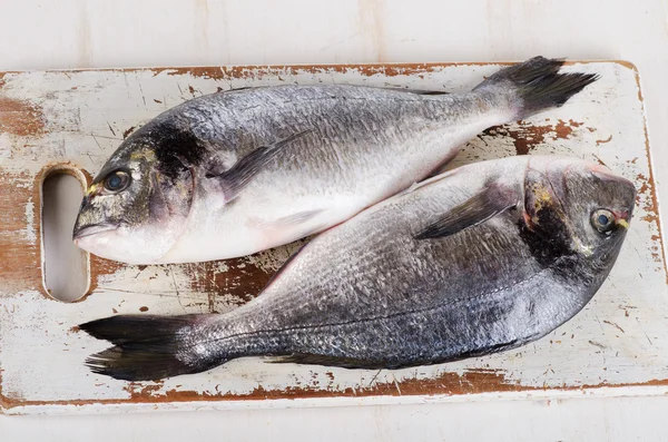 Pescado dorado fresco — Foto de Stock