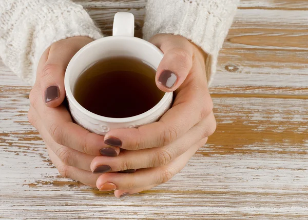 Hands holding tea cup — Stock Photo, Image