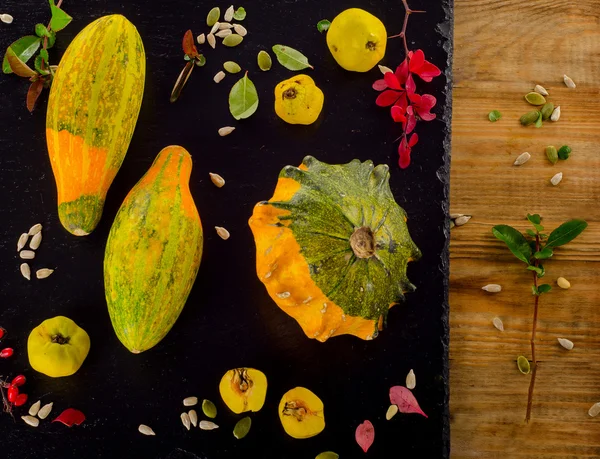 Φθινόπωρο φρούτα φόντο με κολοκύθα. — Φωτογραφία Αρχείου