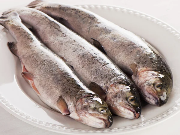 Rainbow trouts på en vit platta. — Stockfoto