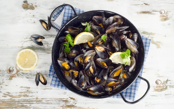 Gurme midye bakır tencere ile süslenmiş peçete yılları arasında görev yapmıştır 