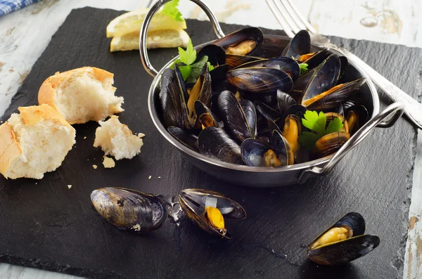 Koyu arka plan üzerinde yemek pişirme içinde haşlanmış midye. 