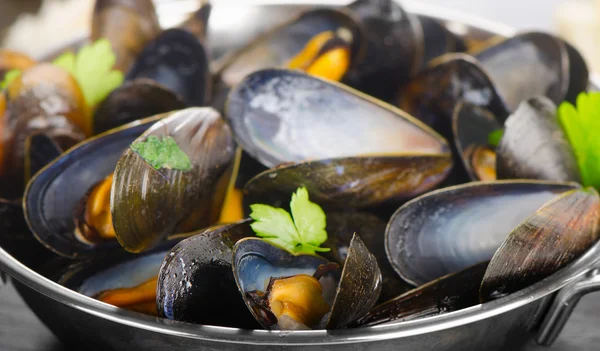 Close-up of boiled mussels — Stock Photo, Image