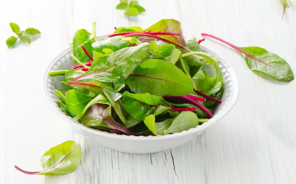 Fresh Mangold or Swiss chard — Stock Photo, Image