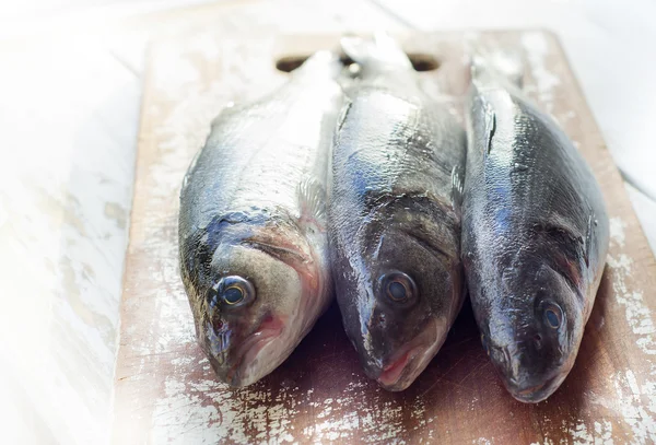 Färsk fisk havsabborre — Stockfoto