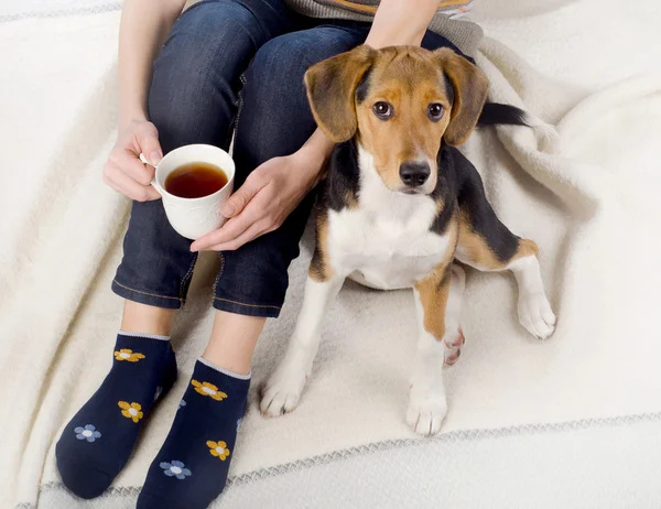 Mulher relaxante com cachorro — Fotografia de Stock