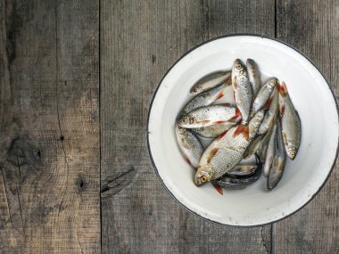 küçük nehir balığı emaye metal tabak