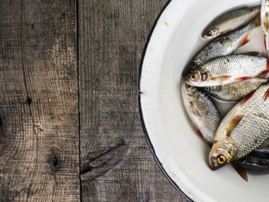 küçük nehir balığı emaye metal tabak