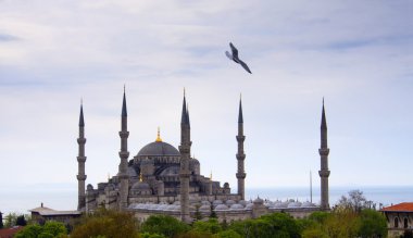Blue mosque and bird clipart