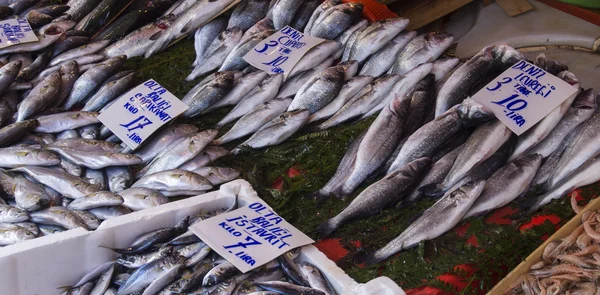 Рыбный рынок, Галата — стоковое фото
