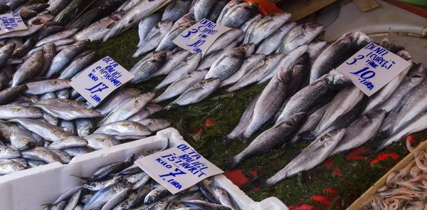 Vismarkt, Galata — Stockfoto