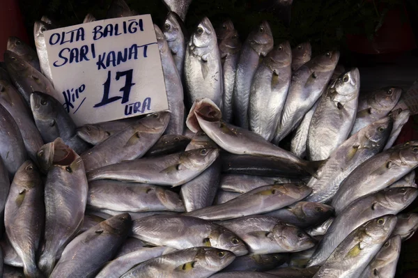 Vismarkt, Galata — Stockfoto