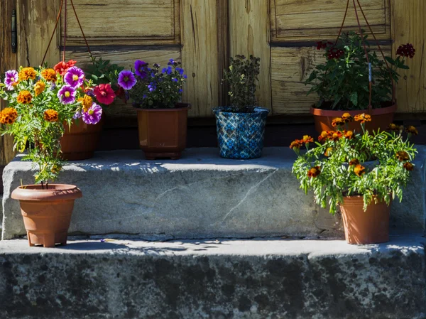 Pentole di fiori — Foto Stock