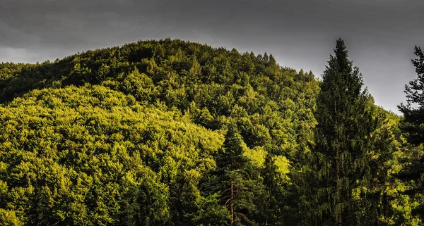 Resort přistane na Ukrajině — Stock fotografie