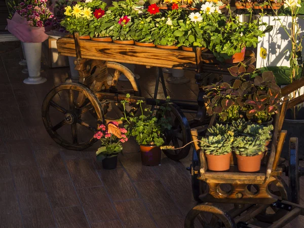 Chariot avec fleurs — Photo
