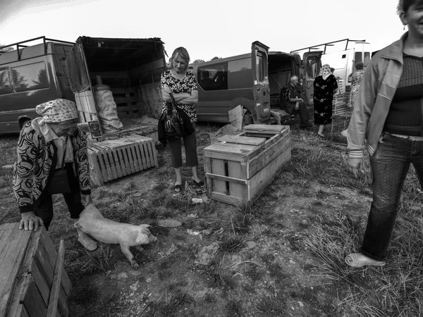 Karpatlar - yüksek Res Farmer's Market — Stok fotoğraf