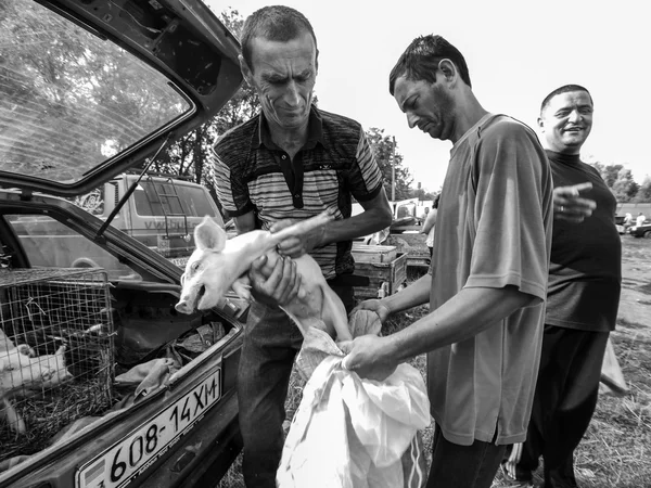 Farmářský trh v Karpatech - vysoké rozlišení — Stock fotografie