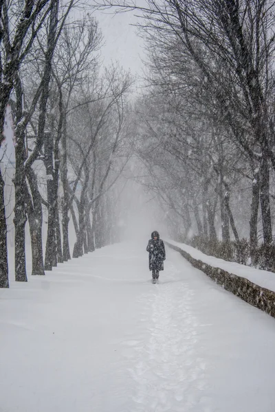 Figura solitaria durante una nevicata — Foto Stock