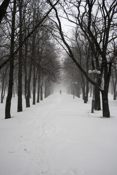 Figura solitaria durante una nevicata — Foto Stock