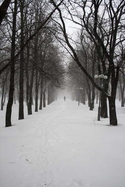 Lonely figure on a footpath in a snowy park during a snowfall