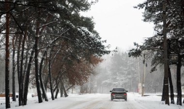 Araba karla kaplı çam ağaçları arasında karlı bir yolda gidiyor.. 
