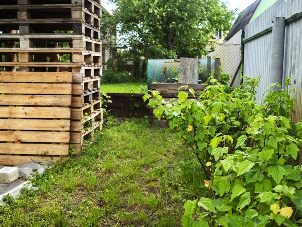 Ukrainians are actively involved in recycling programs for used materials. They make garden furniture and garden beds from used pallets, and use plastic packaging in horticulture.  A stack of used pallets in the garden, prepared for making garden fur