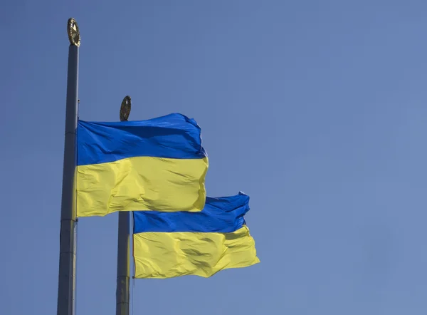 Ukranian flags against blue sky. — Stock Photo, Image