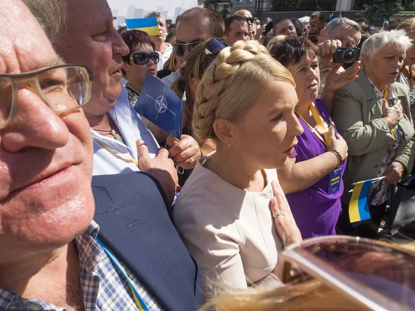 Il partito di Yulia Tymoshenko che raccoglie firme — Foto Stock