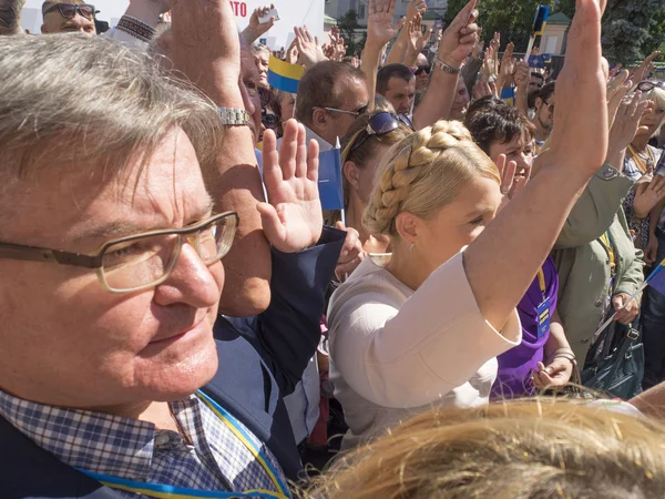 Fiesta de Yulia Tymoshenko recogiendo firmas — Foto de Stock