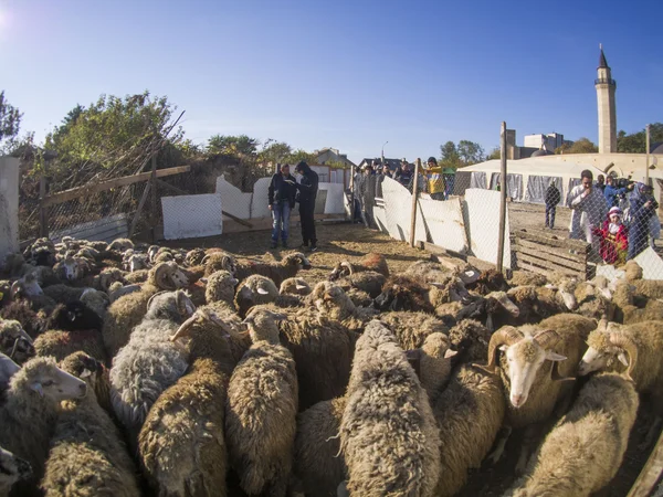 Eid al-Adha en la mezquita de Kiev Ar-Rahma —  Fotos de Stock