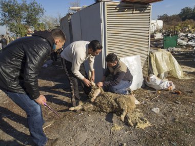 kiev Camii ar-rahma içinde Bayramı