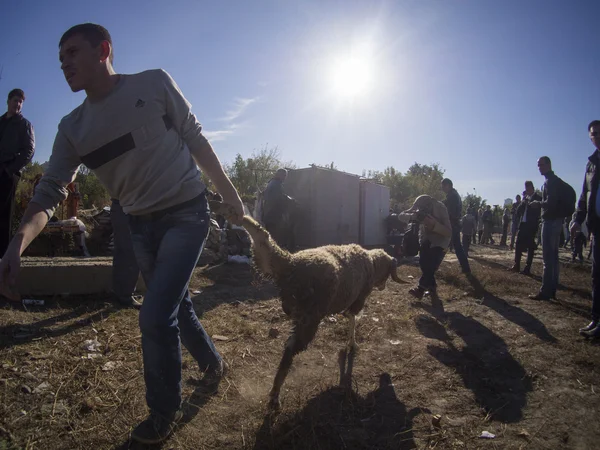 Eid al-Adha en la mezquita de Kiev Ar-Rahma — Foto de Stock