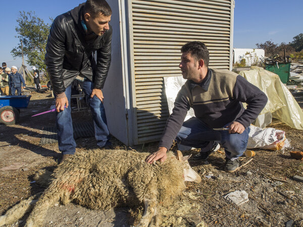 Eid al-Adha in Kiev mosque Ar-Rahma