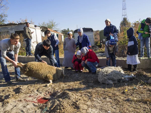 Eid al-adha in kiev moskee ar-rahma — Stockfoto