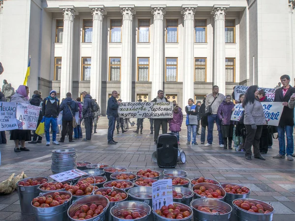 Buckets of tomatoes near Verkhovna Rada — Stock Photo, Image