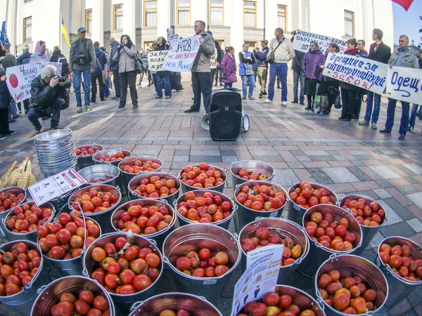 Buckets of tomatoes near Verkhovna Rada — Stock Photo, Image