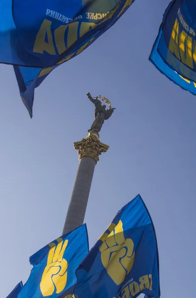 Митинг за признание военнослужащих Украинского повстанческого движения — стоковое фото