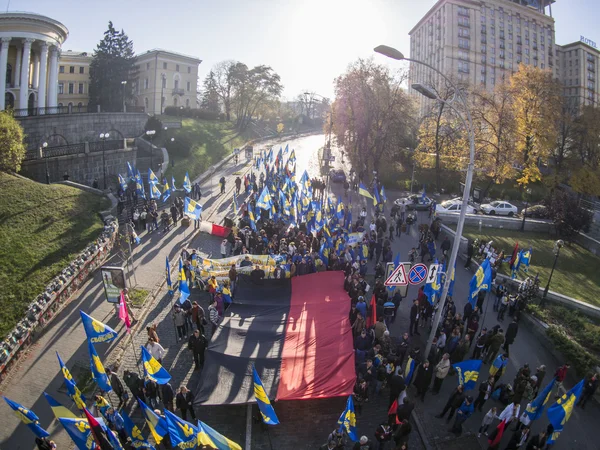 Demonstranti nesl obří vlajka — Stock fotografie