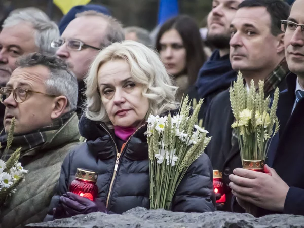 Украинская националистка Ирина Фахрион — стоковое фото