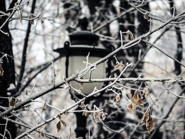 Ukraina "vinterväder" — Stockfoto