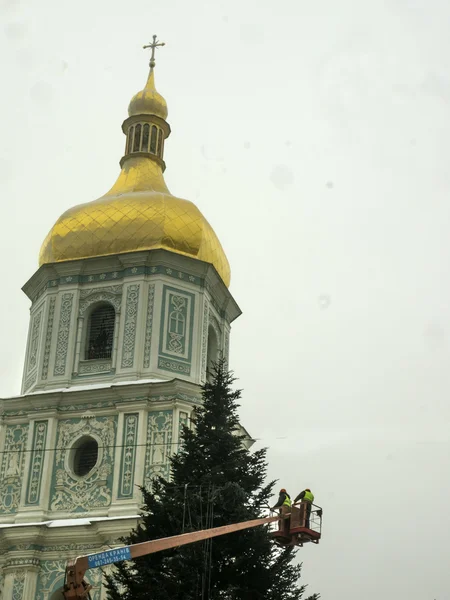 Kiev Christmas tree installed — Stock Photo, Image