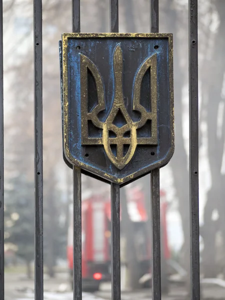 Bataljon 'Aydar' protest in Kiev — Stockfoto