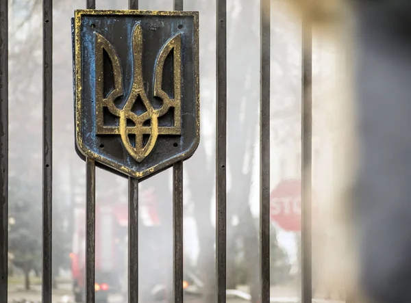 Battalion 'Aydar' protest in Kiev — Stock Photo, Image