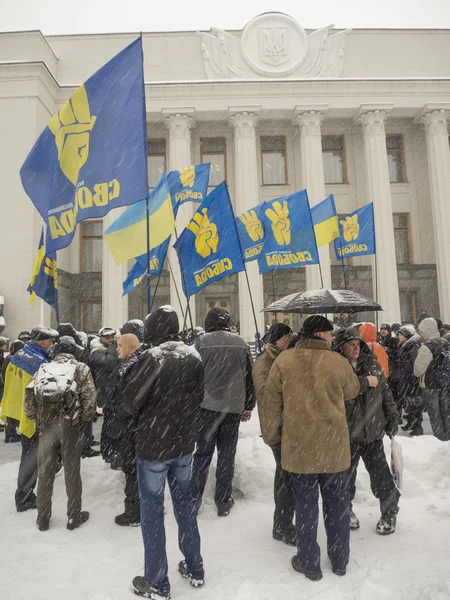 Strona "Svoboda" pikiety ukraiński Parlament — Zdjęcie stockowe