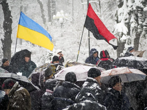 Parti "Ukrayna Parlamentosu picketing Svoboda" — Stok fotoğraf