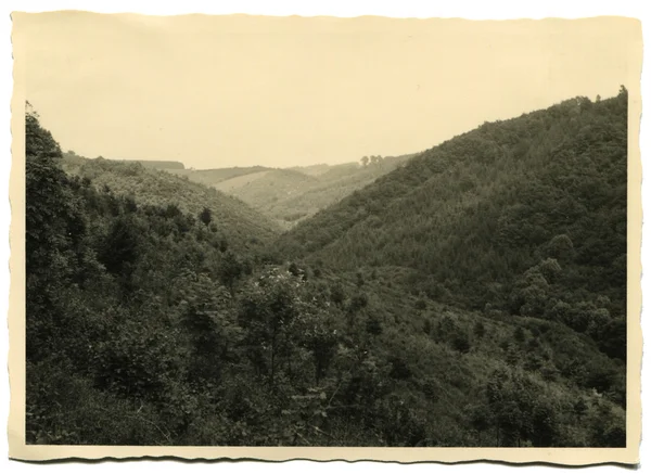 Antique německé Foto — Stock fotografie